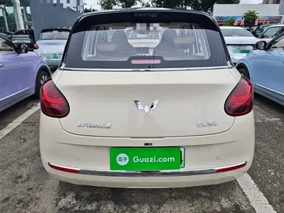 Wuling Bingo