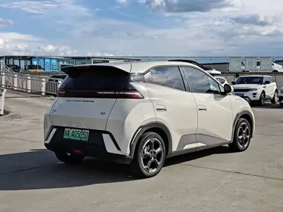 BYD Seagull