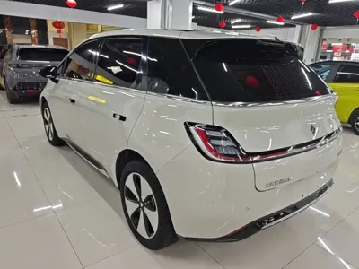 Baojun Yunduo
