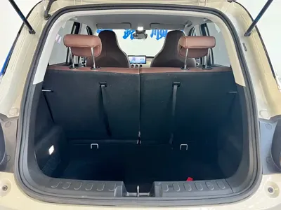 Wuling Bingo