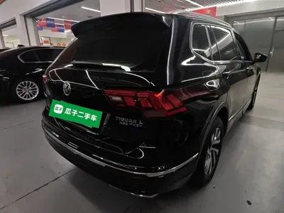 Volkswagen Tiguan L New Energy