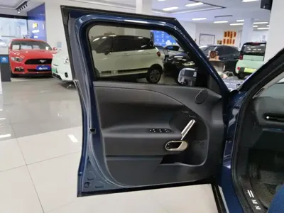 MINI MINI ACEMAN EV