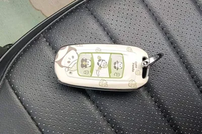 Geely Galaxy Panda