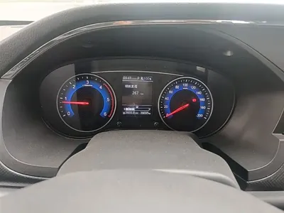 Dongfeng Rich