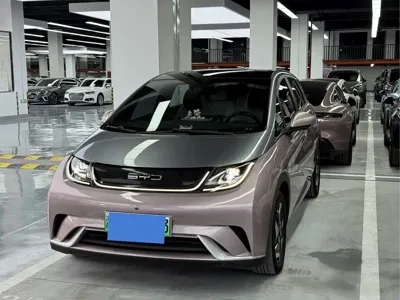 BYD Dolphin