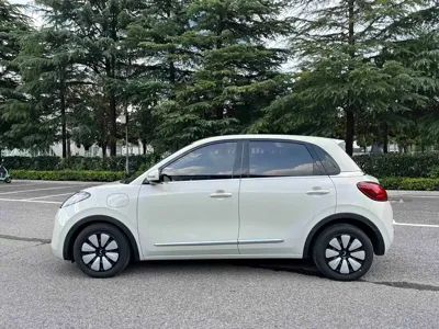 Wuling Bingo