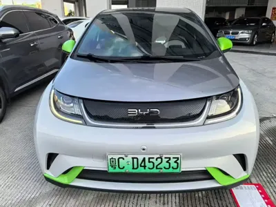 BYD Dolphin