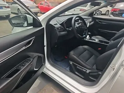 Geely Binrui