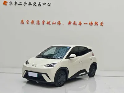 BYD Seagull