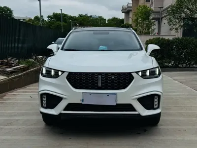 WEY Wey VV5