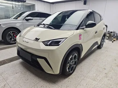 BYD Seagull