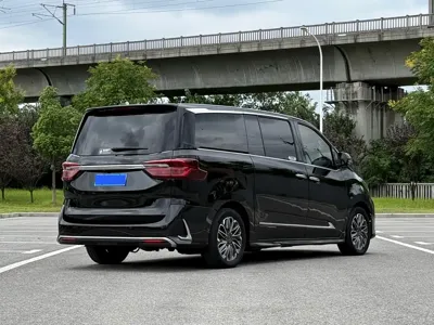 Maxus G20
