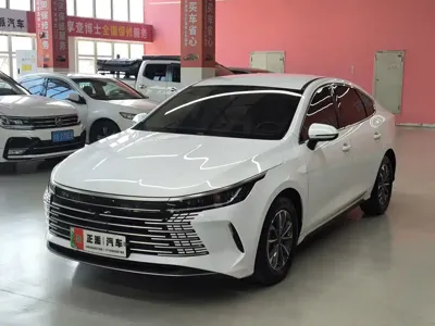 BYD Destroyer 05