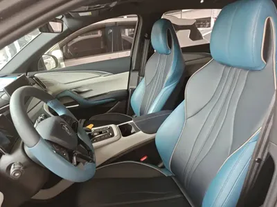 BYD Pro