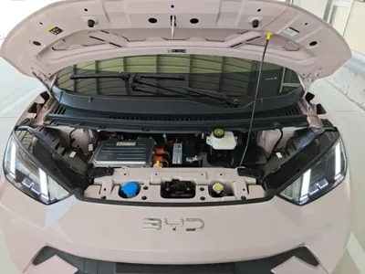 BYD Seagull