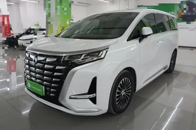Denza D9