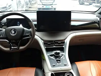 BYD Pro New Energy
