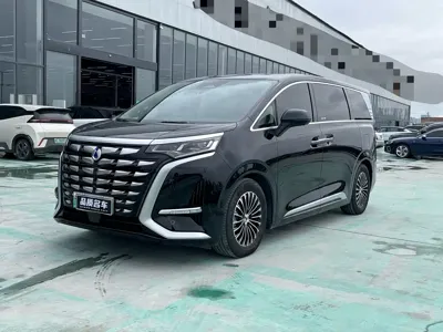Denza Denza D9
