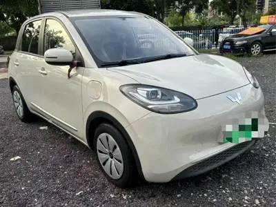 Wuling Bingo