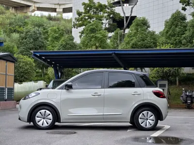 Wuling Bingo