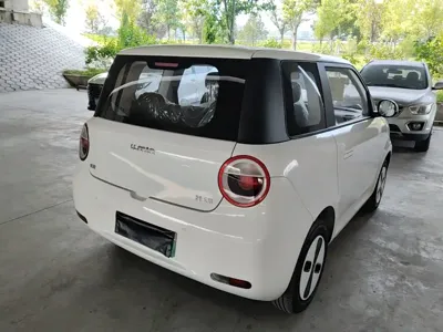 Qiyuan Lumin