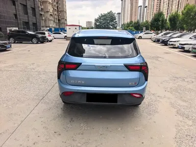 NETA Neta V
