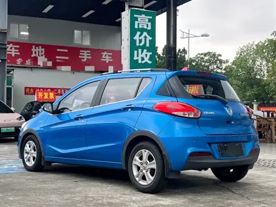 Baojun 310