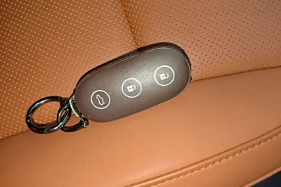 Li Auto L6