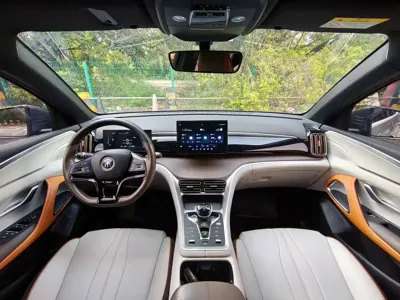 BYD Pro New Energy