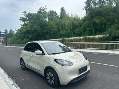 Wuling Bingo