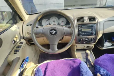 Haima Fumei