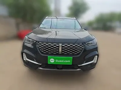 WEY Wey VV6