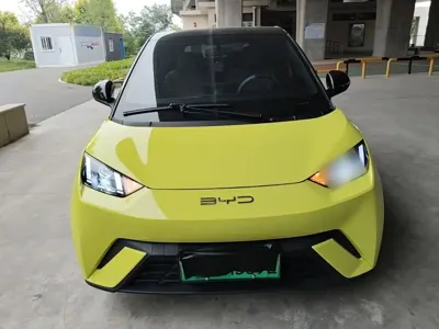 BYD Seagull