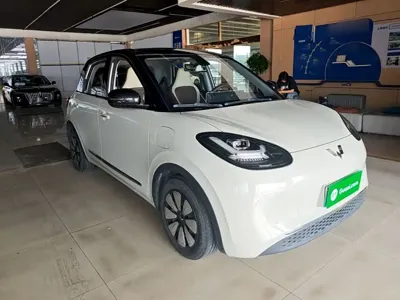 Wuling Bingo