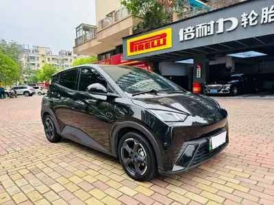 BYD Seagull