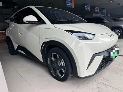 BYD Seagull