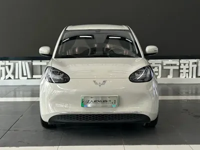 Wuling Bingo