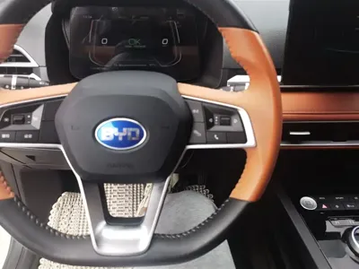 BYD e2