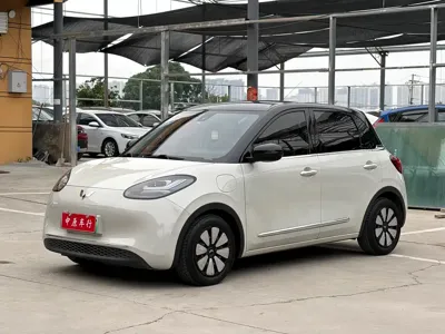 Wuling Bingo