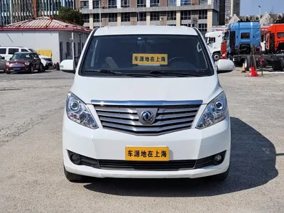 Fengxing Lingzhi PLUS