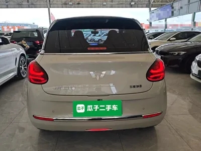 Wuling Bingo