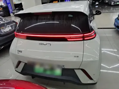 BYD Seagull