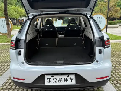 Leapmotor Leapmotor C11