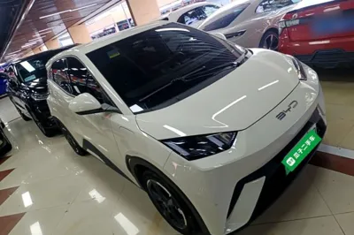 BYD Seagull
