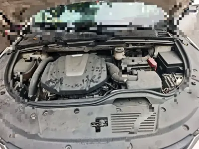 BYD Tang