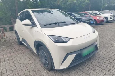BYD Seagull