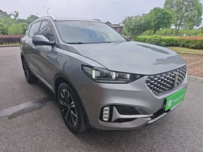 WEY Wey VV6