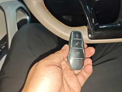 BYD Pro New Energy