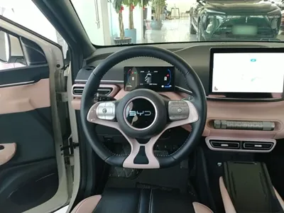 BYD Seagull