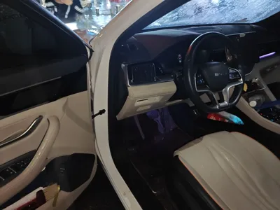 BYD Song PLUS New Energy